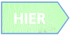 zur früheren Formation